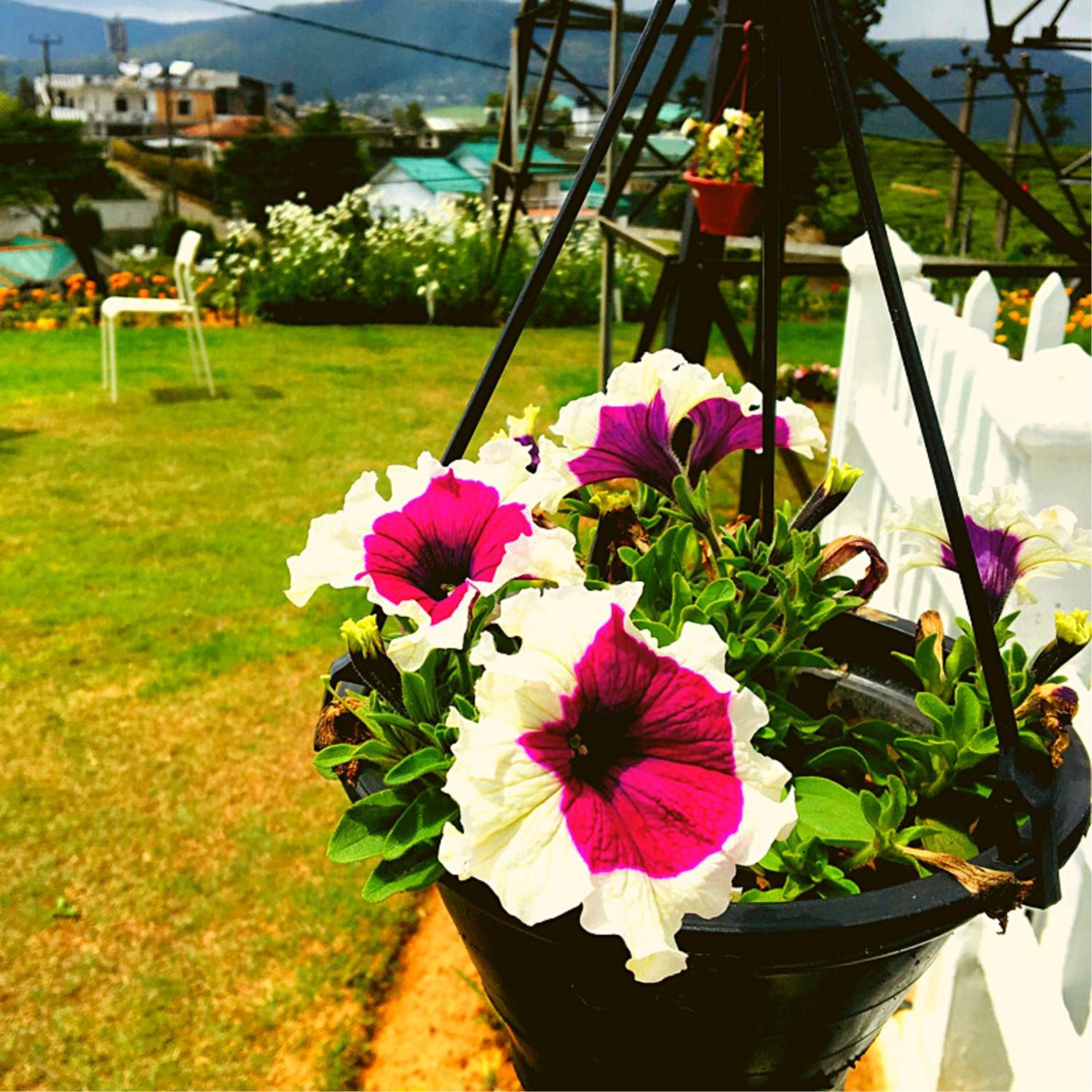 Thuring'S Holiday Bungalow นูวาราเอลิยา ภายนอก รูปภาพ