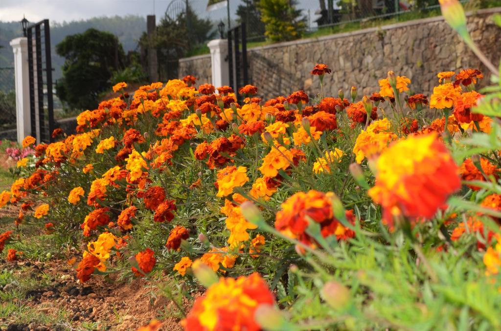 Thuring'S Holiday Bungalow นูวาราเอลิยา ภายนอก รูปภาพ