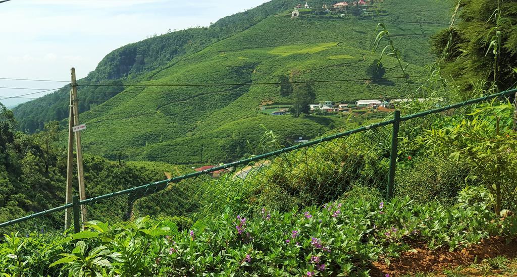 Thuring'S Holiday Bungalow นูวาราเอลิยา ภายนอก รูปภาพ